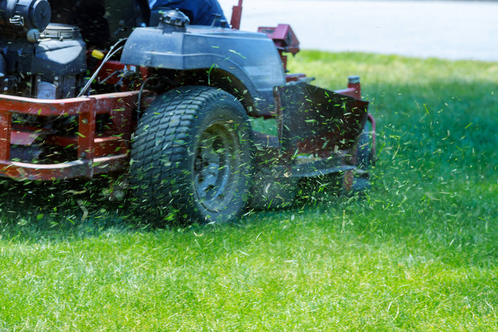 Lawn Care & Turf Maintenance