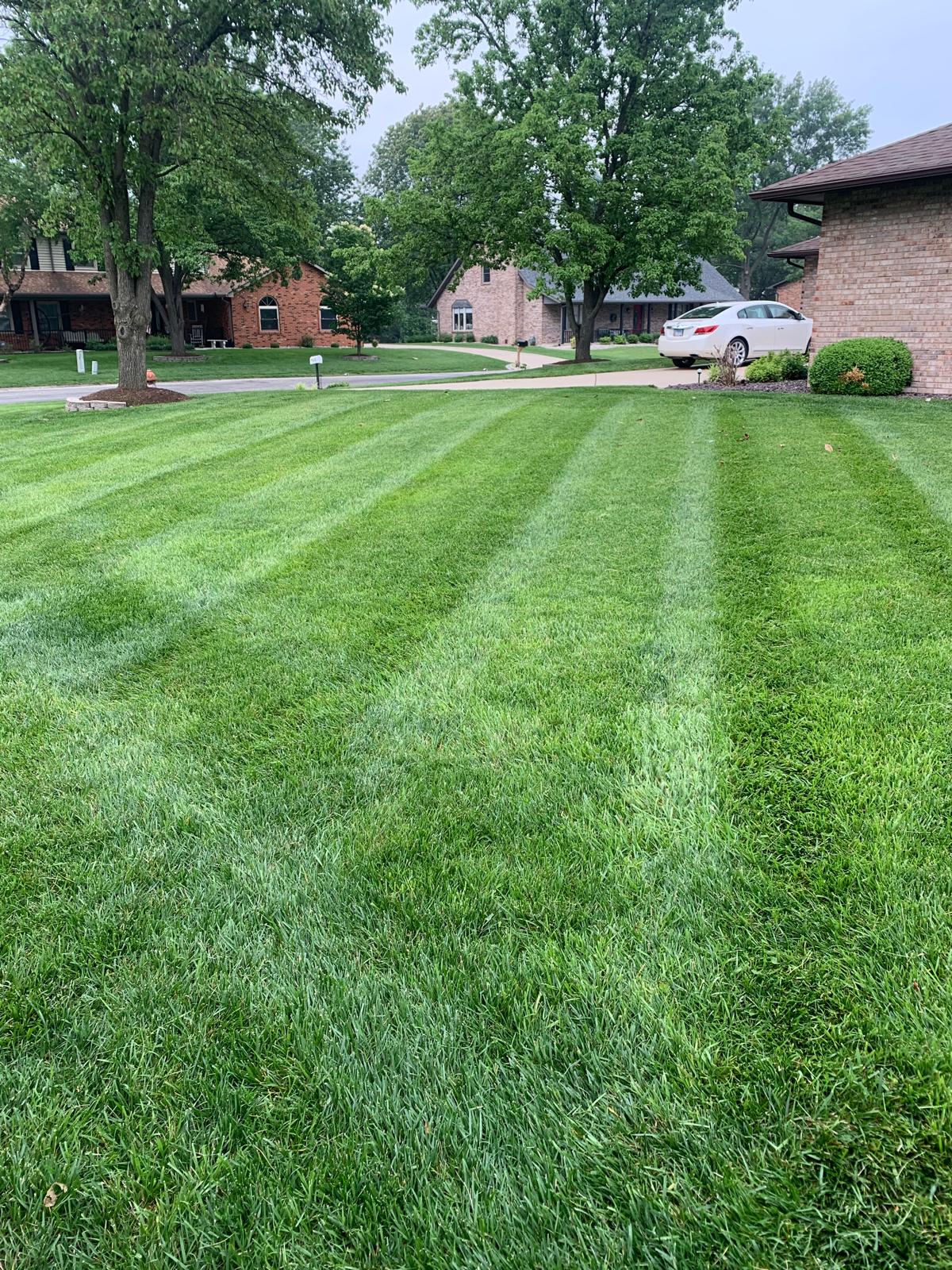 Maintained residential lawn with mowing stripes