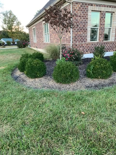 Garden bed before mulch and shrub refresh