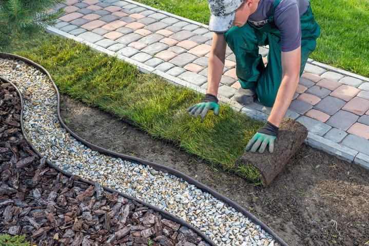 Landscaping, Gardens & Planting — Sod, Border & Walkway