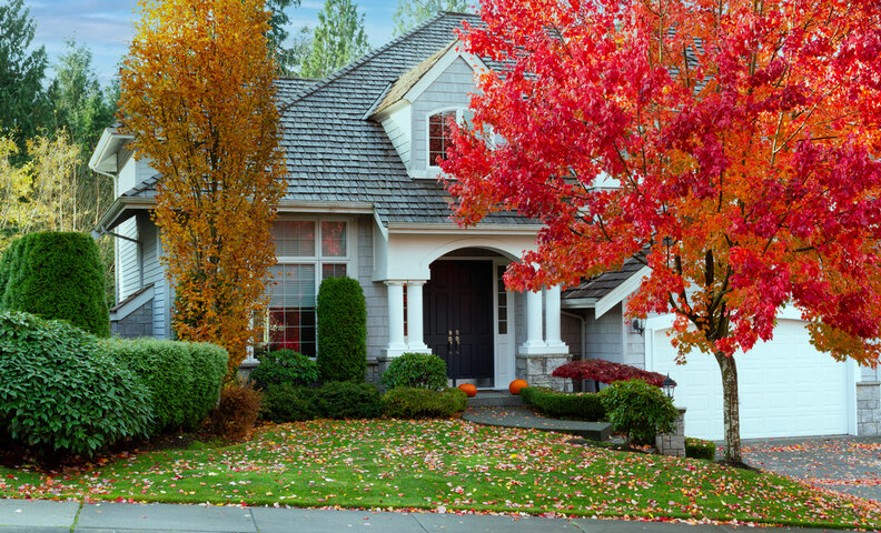Seasonal & Property Services — Fall Property Cleanup