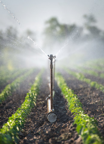 Irrigation & Specialty Outdoor Services — Field Irrigation