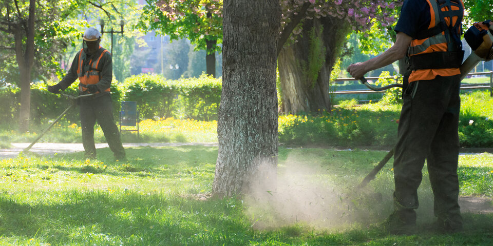 Lawn Care & Turf Maintenance — Trim & Edge Work