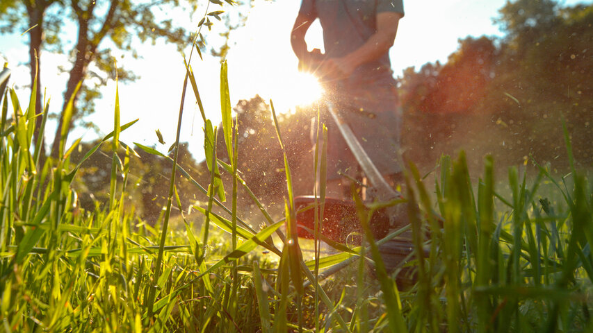 Lawn Care & Turf Maintenance — Golden-Hour Mowing