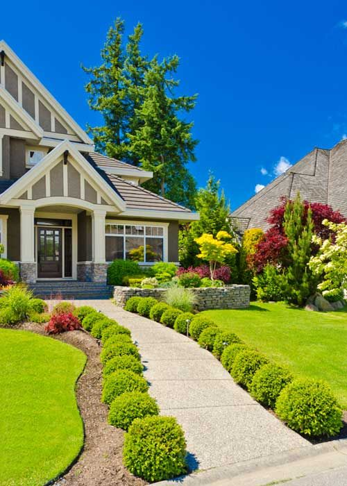 Tree, Shrub & Hedge Care — Shaped Hedge Walkway