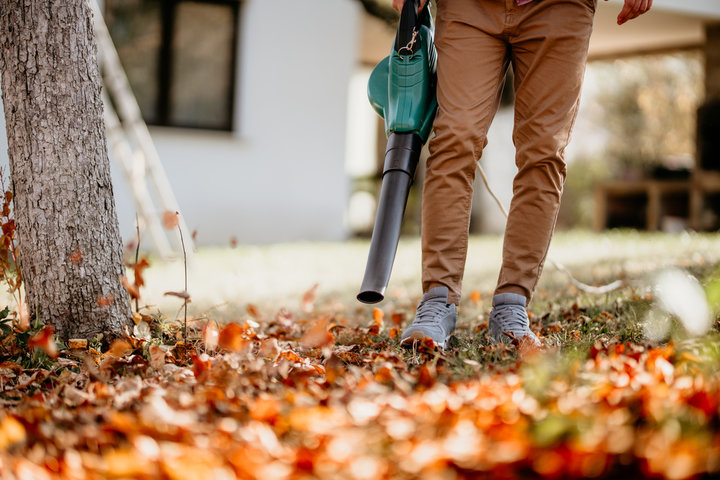 Seasonal & Property Services — Leaf Removal