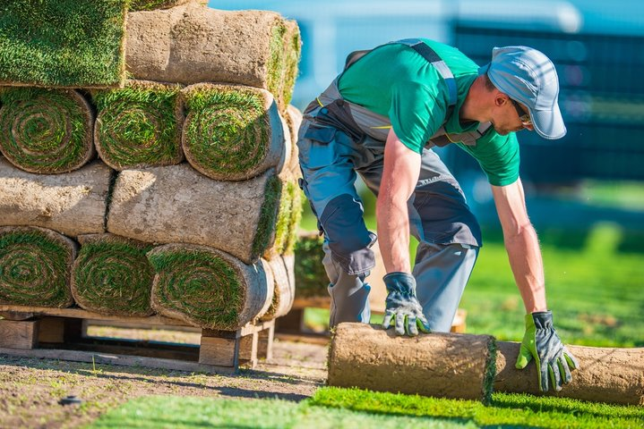 Landscaping, Gardens & Planting — New Sod Installation